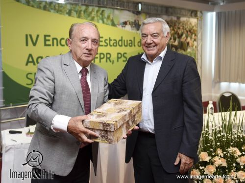 IV Encontro Estadual de Agentes da FPR, PS e ATeG  AR/SC SENAR