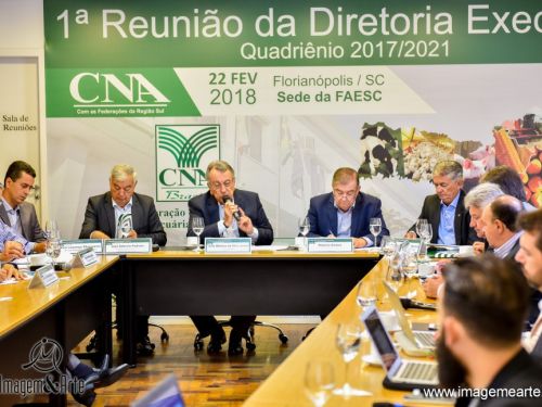 1° REUNIÃO DA DIRETORIA EXECUTIVA CNA